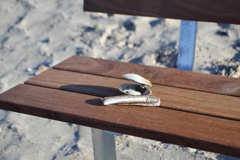 Bænk langtidsholdbar