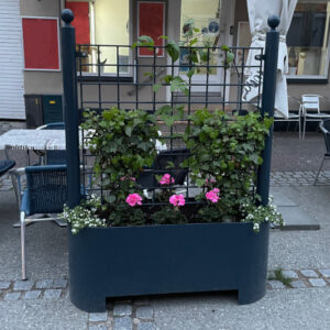 Plantekasse med espalier