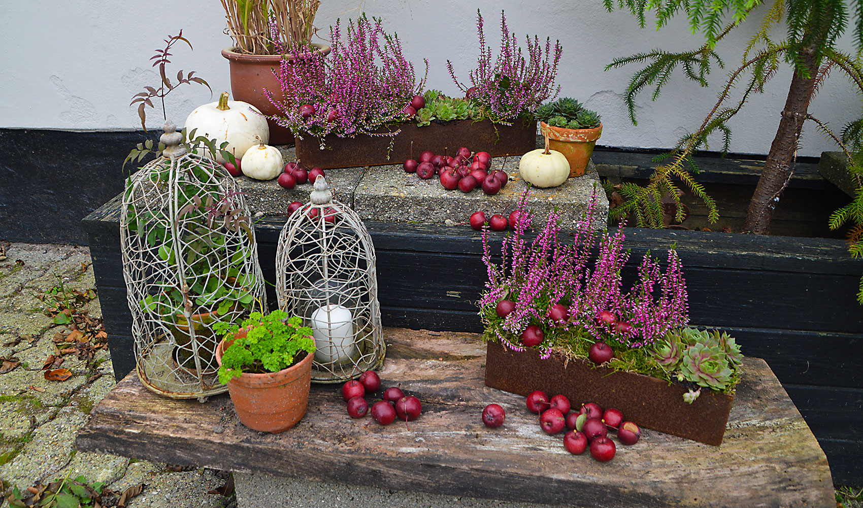 Blomsterkasser i corten